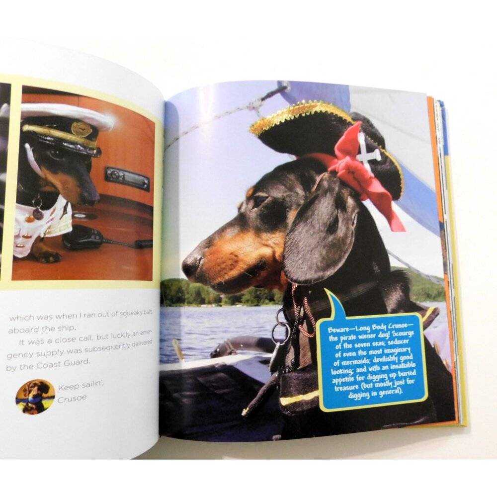 Crusoe Adventures Of The Wiener Dog Extraordinaire Ryan Beauchesne 2015 1st EdHB - Picture 5 of 7